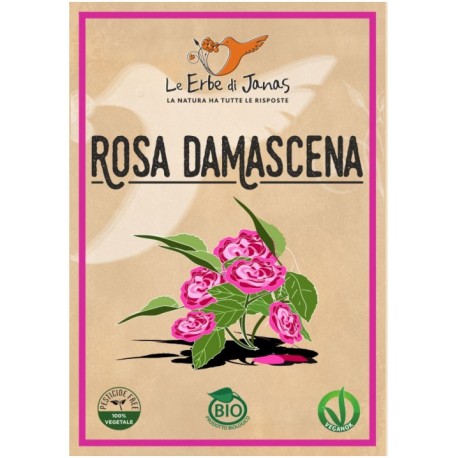 Rosa Damascena - LE ERBE DI JANAS