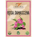 Rosa Damascena - LE ERBE DI JANAS